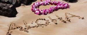 aloha image
