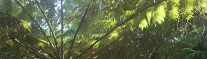 cropped-pic_0700.jpg