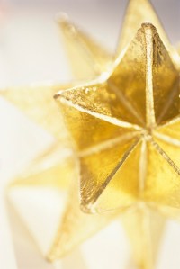 Close-up of Gold Star