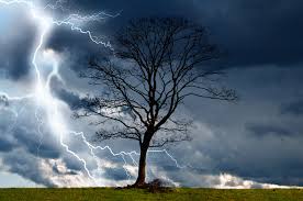 brewing-storm-with-lightening-and-tree