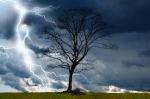 brewing-storm-with-lightening-and-tree