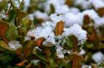 first snow