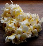 hawaiian_leis