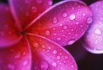 013676cbad446c7c1662de5f880d6d8e_image_400x272